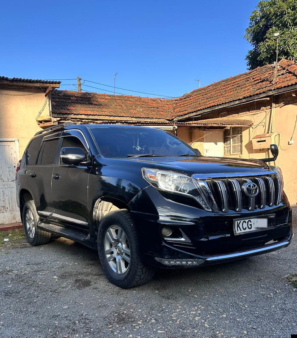 Toyota Prado tzg.. 2010 Image 1